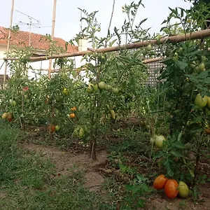 Eira Da Mila Сasa de vacaciones Coímbra